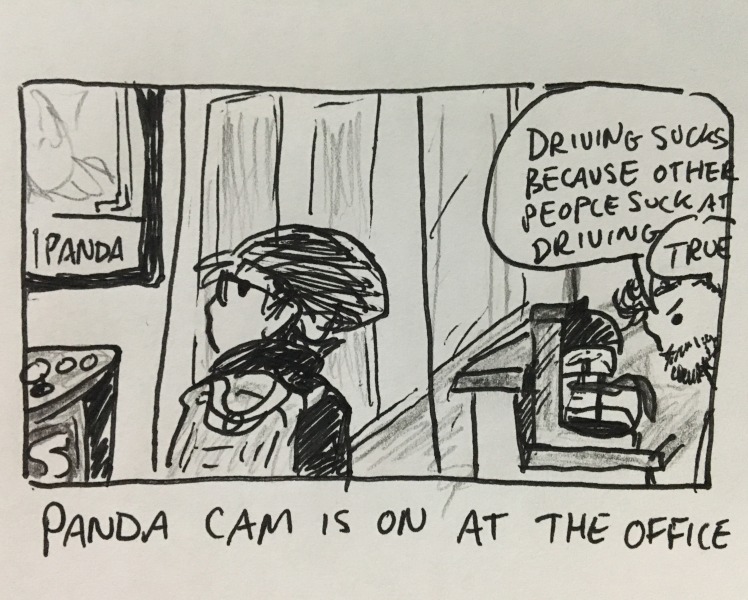 walking into the office and passing m. fairbank, who is policing the coffee as usual and saying something about how &ldquo;driving sucks because other people suck at driving.&rdquo; someone else is agreeing with him. panda cam is on at the office