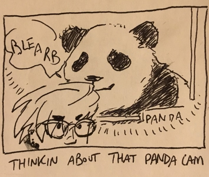 thinkin about that panda cam. i'm frowning as i imagine the panda saying something useless like &ldquo;blearb.&rdquo;