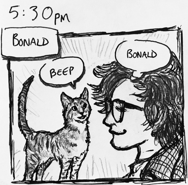 bonald. bonald (the cat) beeps at me. &ldquo;bonald,&rdquo; i think, smiling