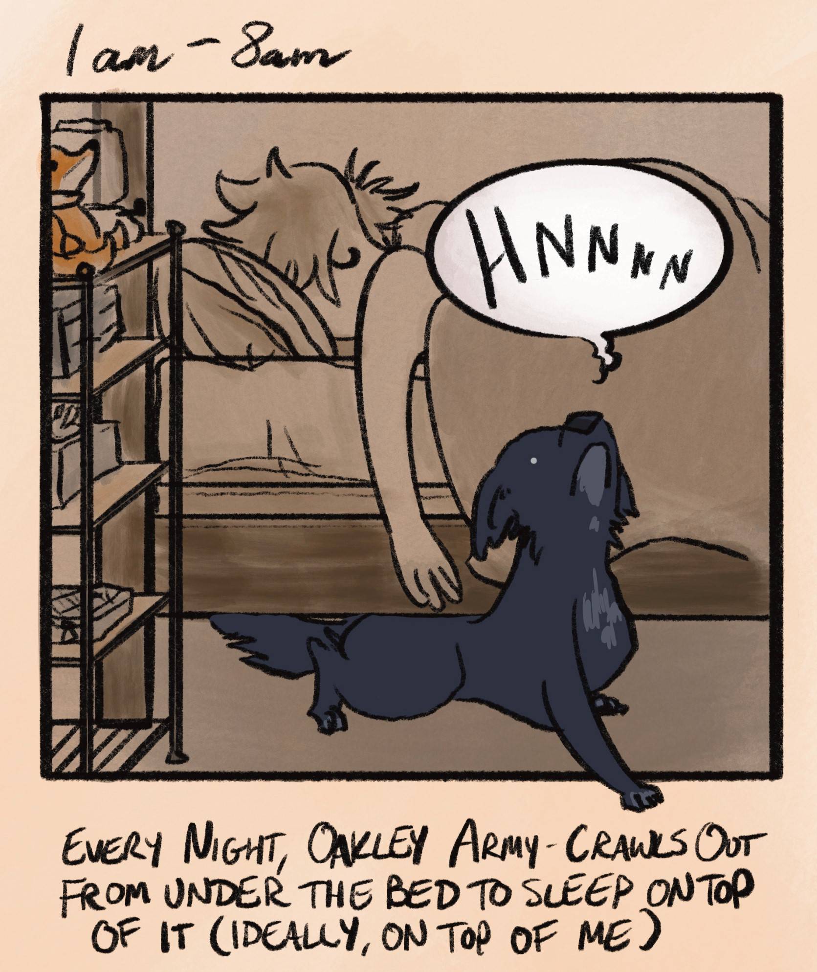 caption: &ldquo;1am - 8am: every night, oakley army-crawls out from under the bed to sleep on top of it (ideally, on top of me).&rdquo; i am asleep in my dark bedroom as oakley the black lab/blue heeler mix oozes her way out from under the bed with a grimace and a loud &ldquo;HNNNNN.&rdquo; there's not really enough space for her to fit there but she sure tries anyway